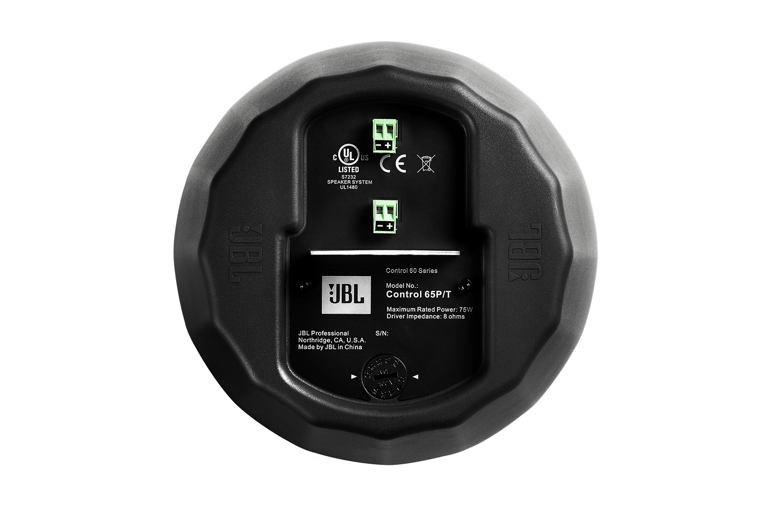 Compact Full-RangePendant Speaker Control 65 P/T 2