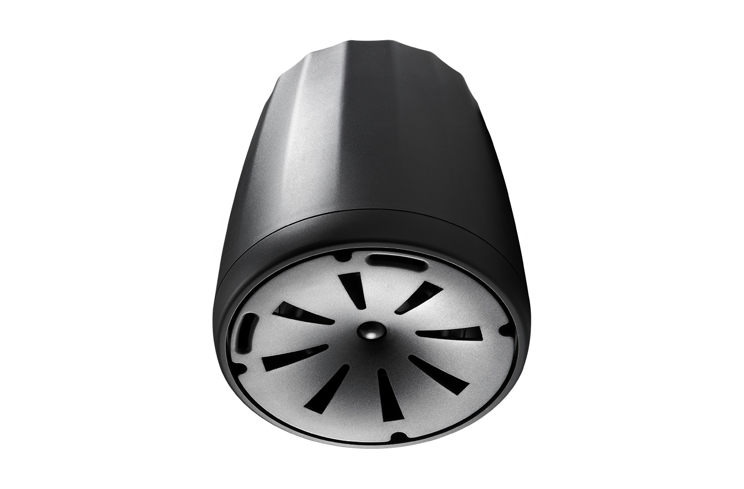 Compact Full-RangePendant Speaker Control 65 P/T 3