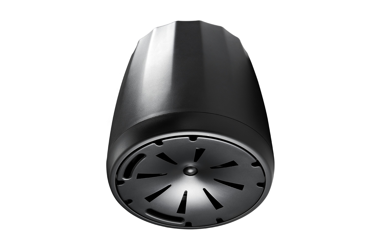 Extended Range Full-Range Pendant Speaker Control 67 P/T 3