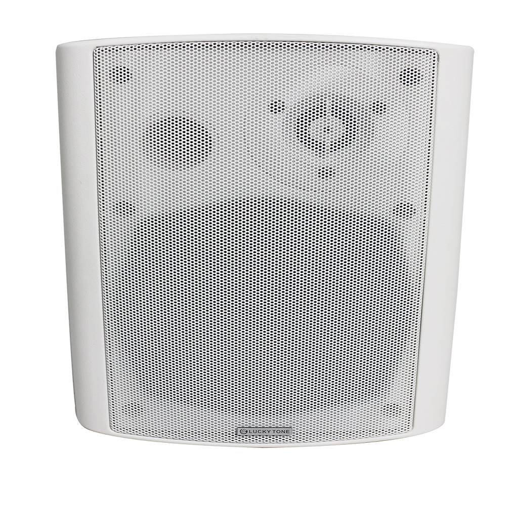 Dante Cabinet Speaker-Dante WP 630