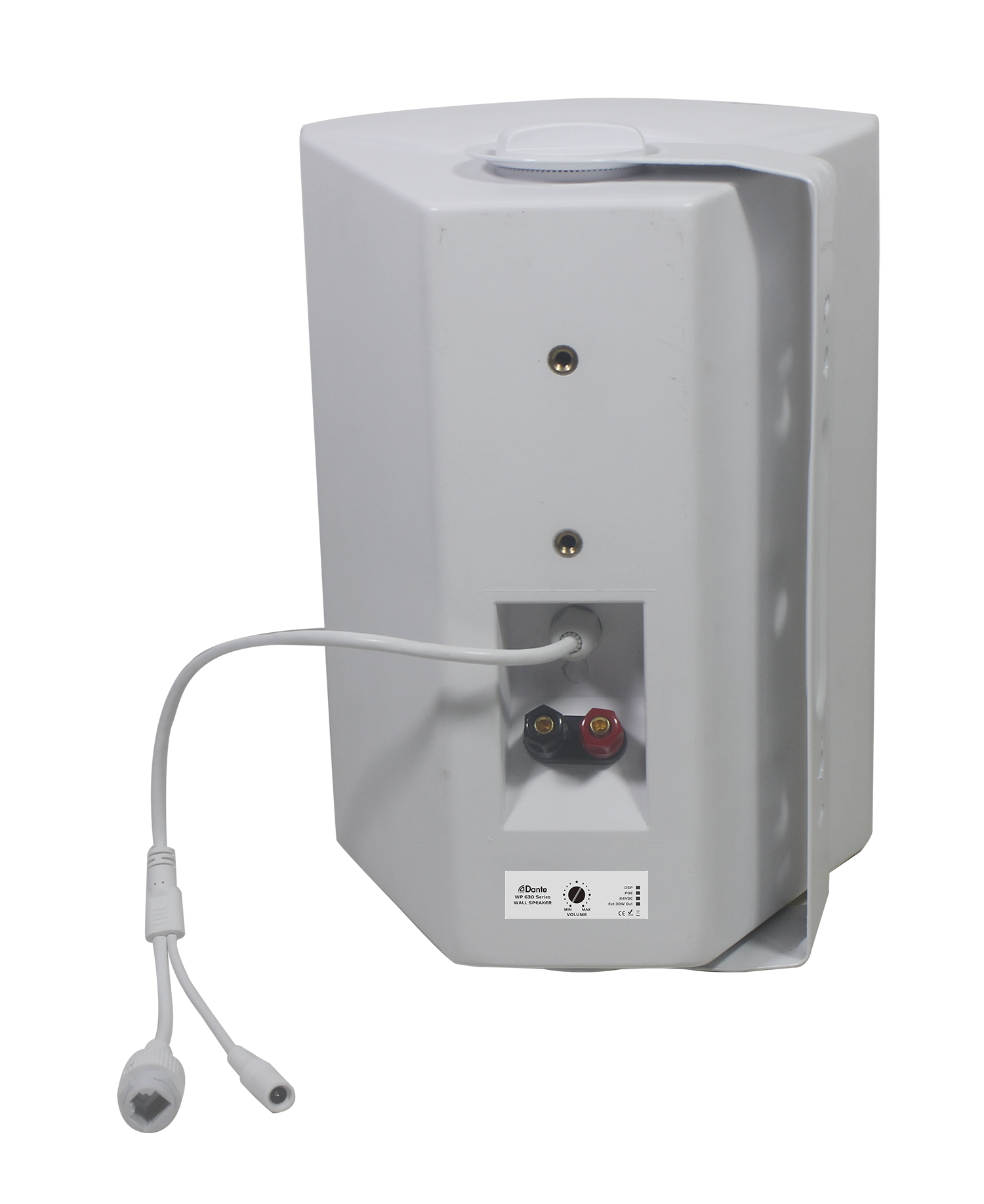 Dante Cabinet Speaker-Dante WP 630 3