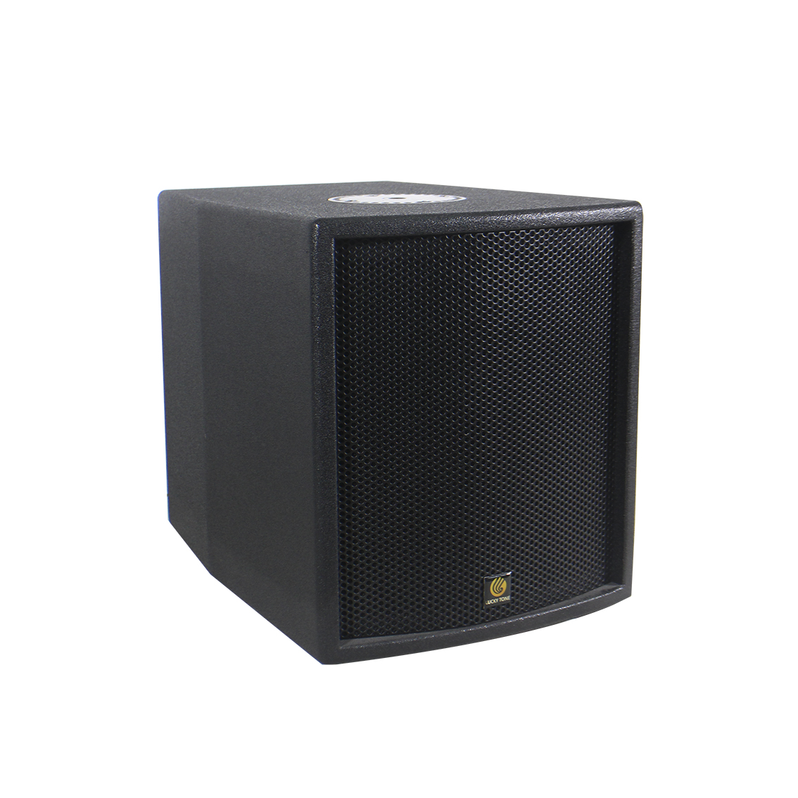Subwoofer speaker with DSP, POE power supply-DP 120 SUB DSP 2
