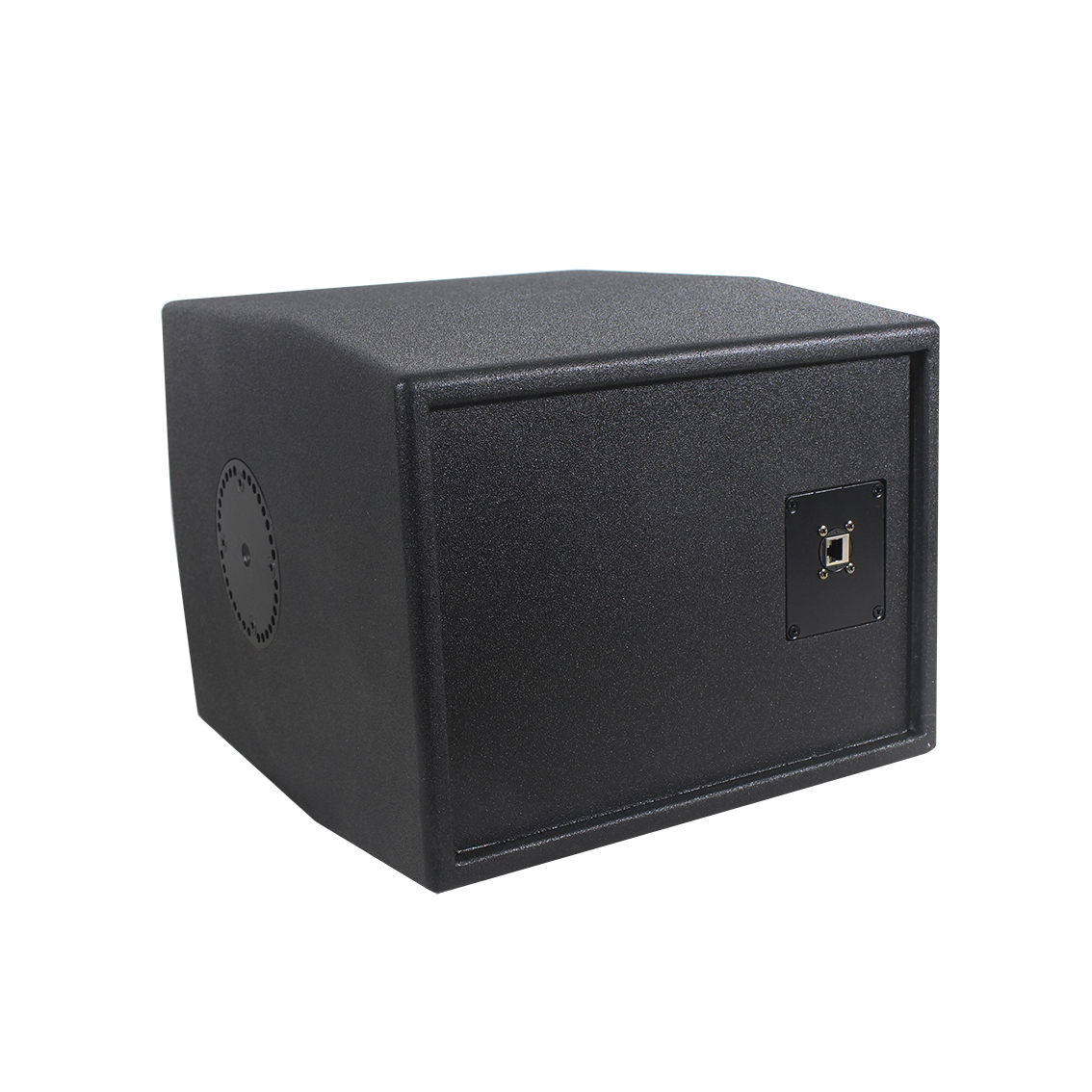 Subwoofer speaker with DSP, POE power supply-DP 120 SUB DSP 3