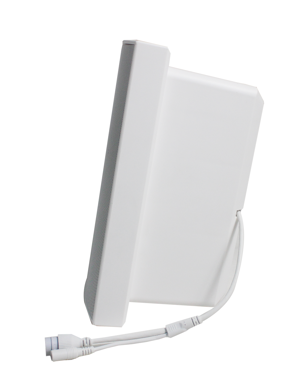 Dante Wall Mounted Speaker-Dante DP 430 2