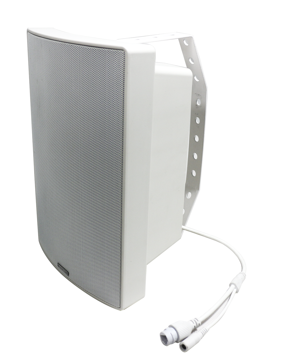 Dante Wall Mounted Speaker-Dante DP 430 4
