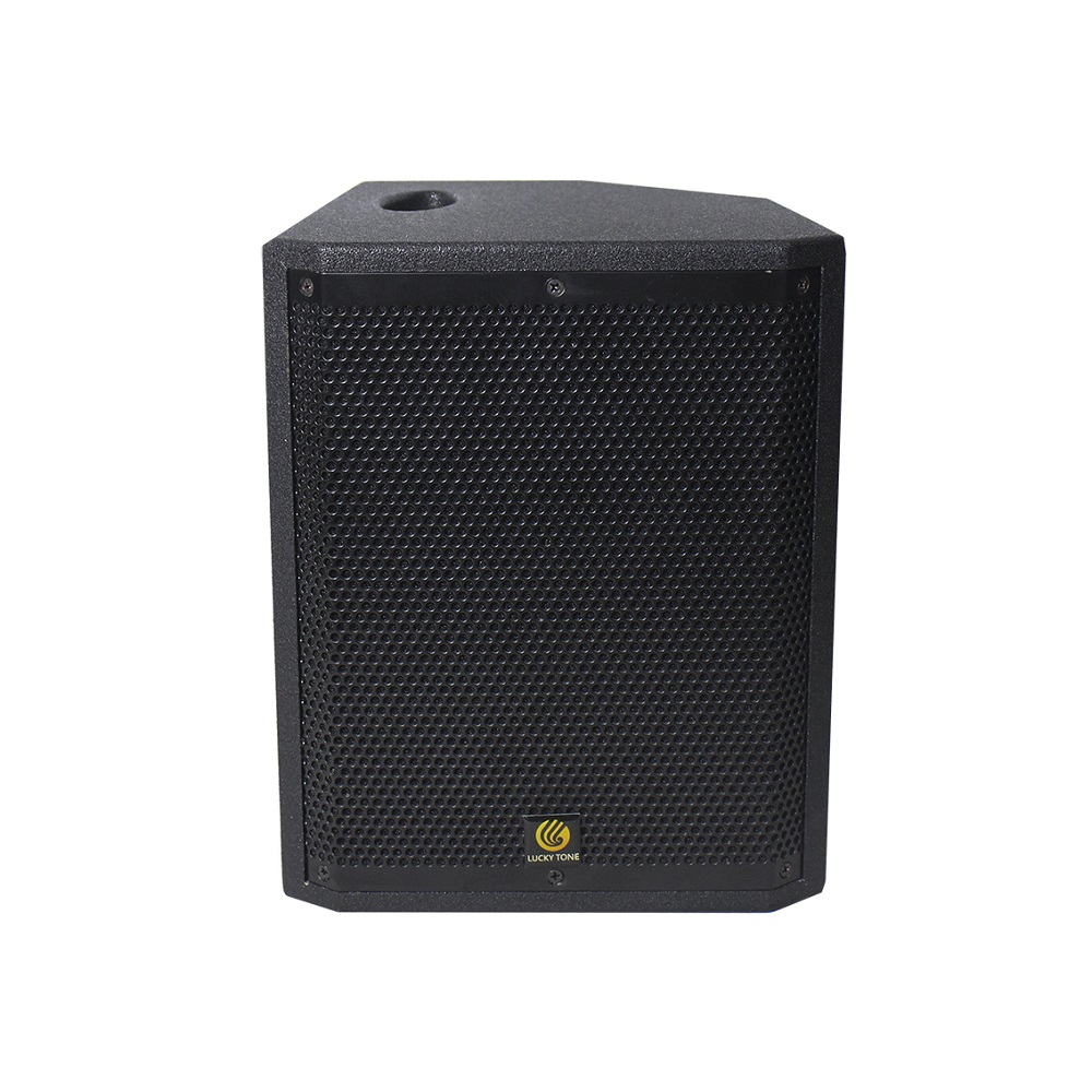 Speaker with DSP, POE power supply-DP 90 DSP