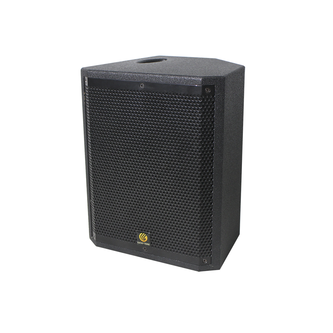 Speaker with DSP, POE power supply-DP 90 DSP 2