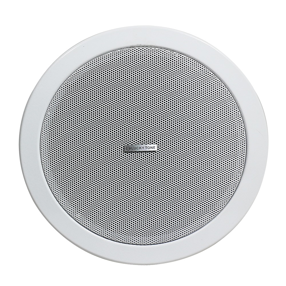 Dante Ceiling Speaker-Dante DP 615POE